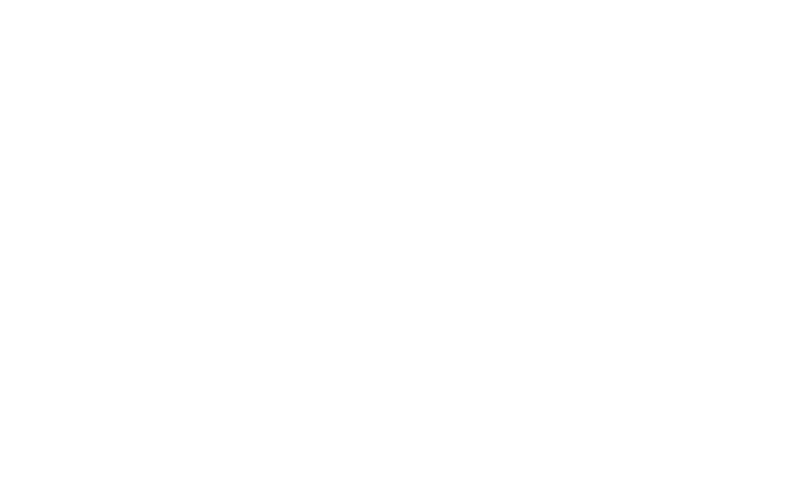 Selected investments in quality assets, mainly residential rental properties in the 23 wards of Tokyo